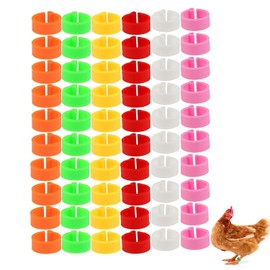 Pack of 100 Poultry Foot Rings, Chicken Identification Legs Rings for Chickens, Ducks, Chicken, Goose, 5 Colours