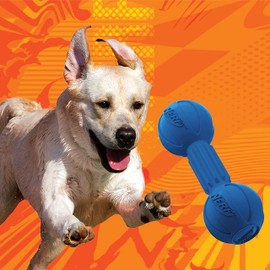 Nerf Dog Rubber Chew Barbell Dog Toy For Aggressive Chewers, Lightweight, Durable and Water Resistant, 7.5 Inches, For Medium/Large Breeds, Single Unit, Blue