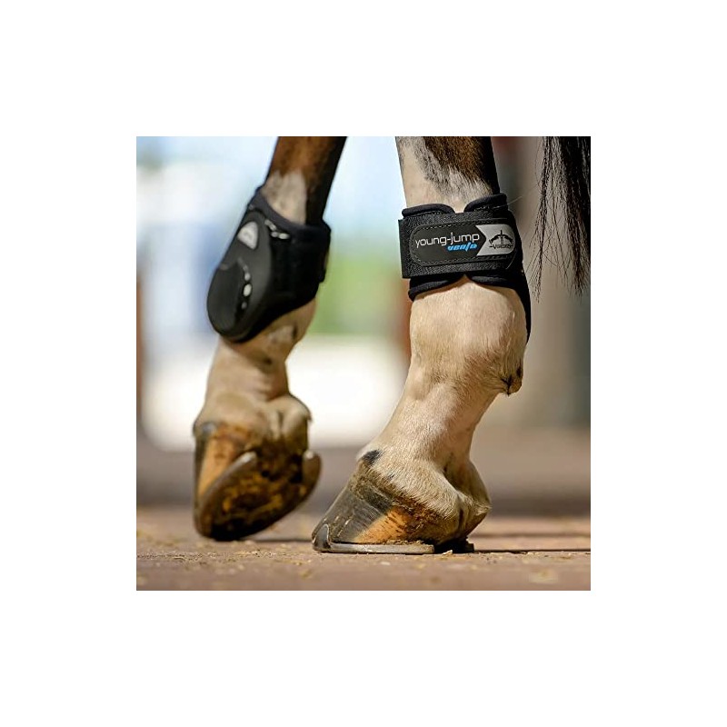Veredus - Young Jump VENTO fetlock boots