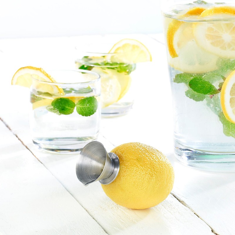 PEARL Citrus Fruit Juicer with Pouring Spout, 18/8 Stainless Steel