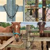 Black Chain, Security Chain, Gate Chain, Chain - 1 Meter