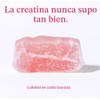 Create- Gomitas de Creatina Monohidrato para Hombres y Mujeres Aumentar