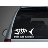 Fishing Decal Filet and Release 8" White Sticker