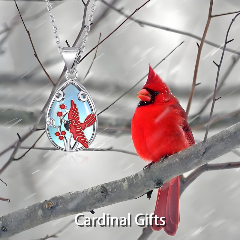 TALYKONG Cardinal Necklace for Women Red Cardinal Moonstone Pendant Christmas