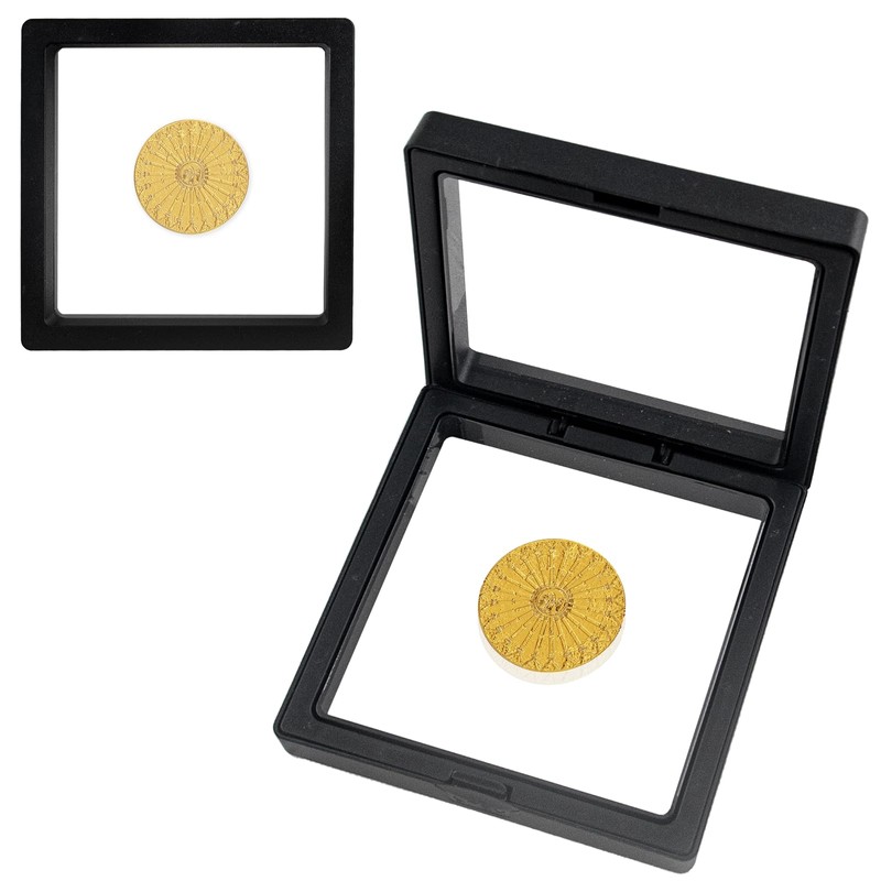 QUYLIXX Black 3D Floating Frame Display Holder Stands, Coin Display