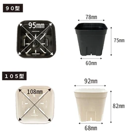 Japan Porihachi Hanbai Appleware Prestella 90, Set of 10, Black