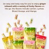 Prince Of Peace 8oz Prince of Peace Ginger Chews Fruity