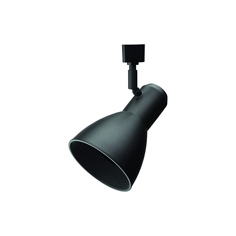 Lithonia Lighting LTHNSTBF BR30 DBL M2 Baffle Head Track Lighting,