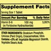 Spring Valley Vitamin B6-100mg, 250 Tablets (Pack of 1), Boxed