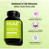 HUM Nutrition Flatter Me Digestive Enzymes, 60 Capsules