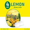 Les Anis de Flavigny Candy Mints, The French Mints, Vegan,