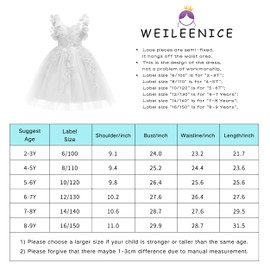 Weileenice White Flower Girl Lace Dresses 4 5 Kids First Communion Baptism Wedding Birthday Pageant Daddy Daughter Dance Ball Gown Kids Fancy Church Puffy Tulle Dress Evening Easter Formal Elegant