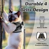 1-Pack Dog Harness- Sturdy Plastic Buckle, Adjustable Breathable Vest -