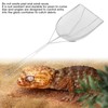 Reptile Sand Shovel Scooper Stainless Steel Fine Durable Litter Corner