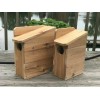 Handmade Squirrel House Nesting Box 3/4" Solid Cedar Owl 3