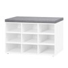 DINZI LVJ Shoe Storage Bench with Cushion, Cubby Shoe Rack