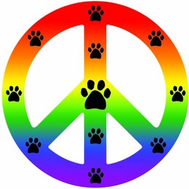 Imagine This Peace Car Magnet Sign, Rainbow, 41/2-Inch by 4-1/2-Inch