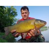 Tandem Baits Methood Feeder MF Diffusion Micro Boilies 12 x