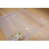 eco-eco A4 100% Recycled Clear Transparent Twin Press Stud Popper