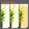 Bstrip Standing Grow Light for Indoor Plants, Vertical Grow Light