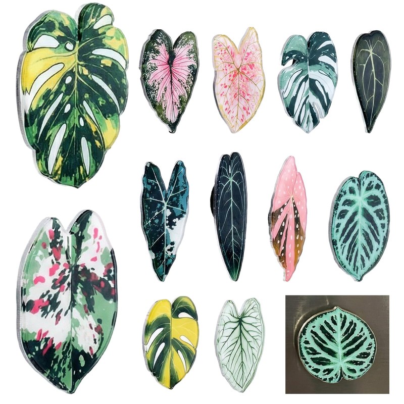 12 pcs Leaf Shaped Fridge Magnets, Plant Themed Decorative Acrylic