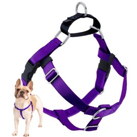 2 Hounds Design Freedom No Pull Dog Harness, Adjustable Harness, Easy Walking & Comfortable Control, Fits Small, Medium & Large Dogs, Solid Colors, Made in USA, 1" LG, Purple