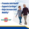 Glucoflex Glucosamine & Chondroitin Sulfate with MSM, 24 Hour Joint