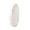 Westbrass 493144H-50 12" & 4" Bath Waste & Overflow Assembly