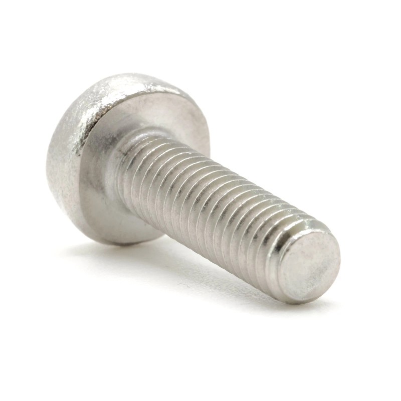 Lexus Stainless Screws for Lexus IS License Plates (Set of