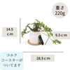 Kishima KH-61250 Artificial House Plants, Fake Green, Artificial Plants, Never