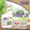 Bonide Captain Jack's Neem Oil, 32 oz Ready-to-Use Spray, Multi-Purpose