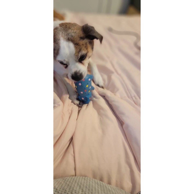 Henry Schein Wound CLOSURE strips 1/2 X 4 Inch. Quantity