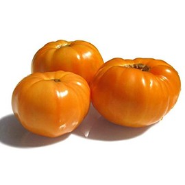 Amana Orange Heirloom Tomato Seeds - Large Tomato - One of The Most Delicious Tomatoes for Home Growing