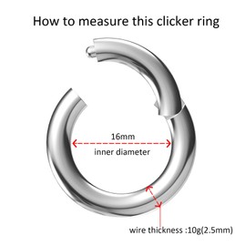 NewkeepsR 10G 16mm(5/8 inch) Large Gauge 316L Surgical Steel Septum Hinged Clicker Segment Orbital Conch Rings