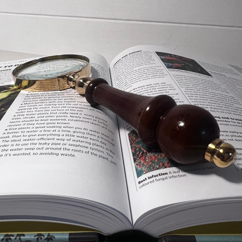 Elegant Regency Style Wooden Handle Magnifying Glass for Reading, Handheld