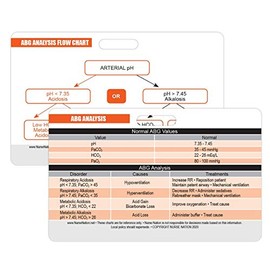 Arterial Blood Gas (ABG) Horizontal Badge Card - Excellent Resource for Nurses, Nursing Clinicals, and RN Students - Great Nursing School Supplies and Accessories