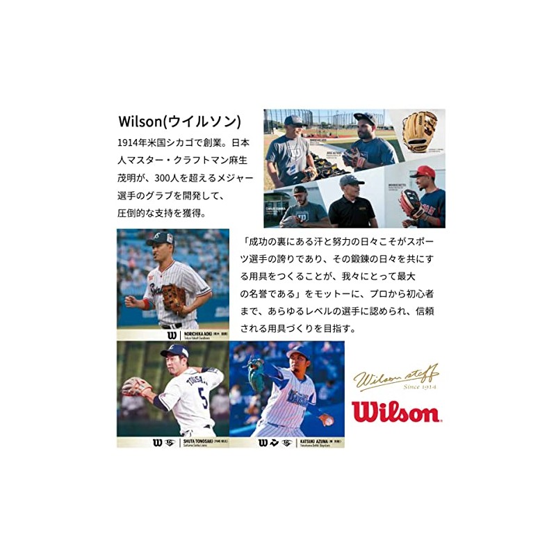 Wilson WB5750601M WL-1 M White Navy Guard Gloves for One