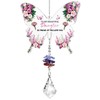 Sanyetral To Daughter Gift from Mum,Butterfly Acrylic Crystal Sun catcher