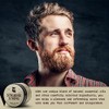 Striking Viking- Cuidado de barba definitivo sumrgete en el cuidado