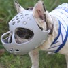 Dog Muzzle for Short Snout Dogs Breathable Holes Prevent Biting