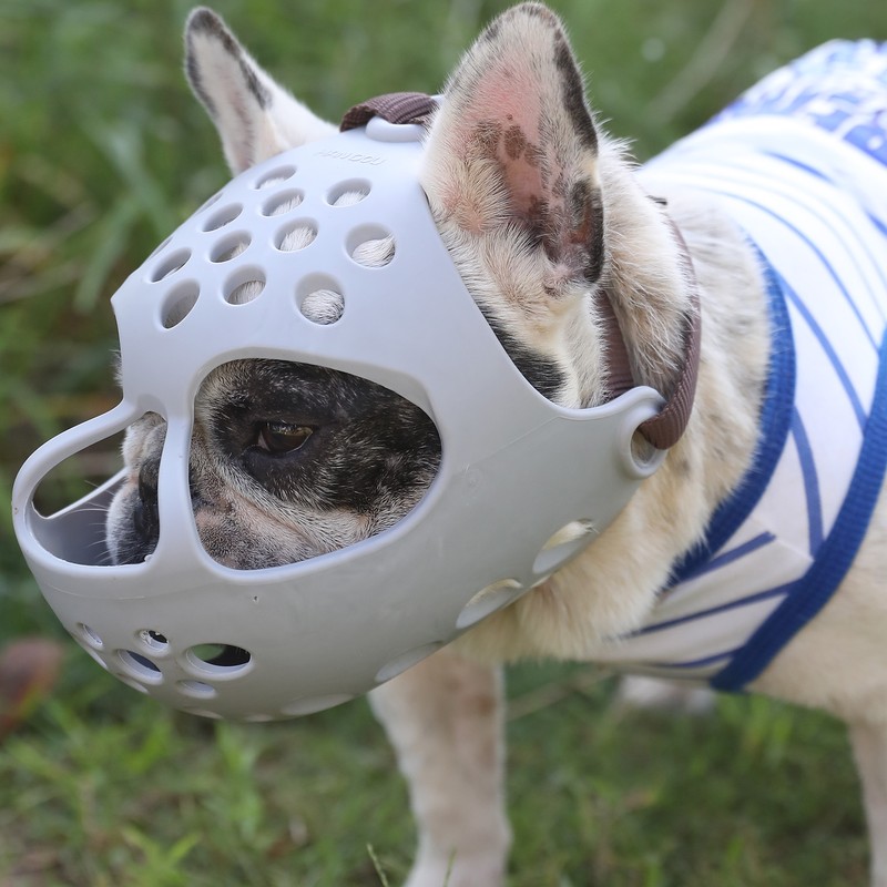 Dog Muzzle for Short Snout Dogs Breathable Holes Prevent Biting