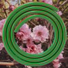 Garden Watering/Patio hosepipe,Kink Resistant 6 Layer Hose,Universal Size,Length Available 1m-100m