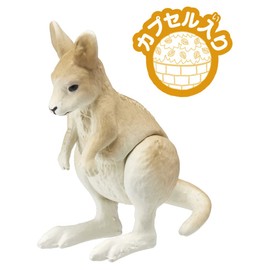 Takara Tomy Ania AC-05 Kangaroo (Kids) Animal Dinosaur Toy for Ages 3 and Up