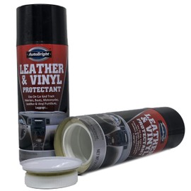 AutoBright Leather & Vinyl Diversion Stash Safe