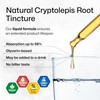 BIO KRAUTER Cryptolepis Sanguinolenta Extract - Vegan Cryptolepis Tincture for