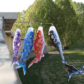 Koinobori Koinobori, Gold Foil Carp, 5 Colors, 31.5 / 39.4 inches (80 / 100 cm), May Festival, Garden, Veranda Decoration (Set of 31.5 inches (80 cm)