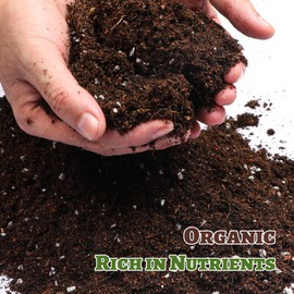 Doter Organic Strawberry Soil Mix 4qt, Indoor Plants Potting Mix for All Potted Strawberry, Grow Healthy houseplants Indoors