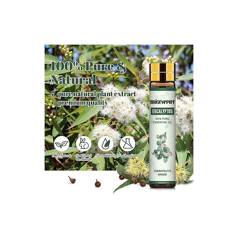 Migcaput Migcaput Eukalyptus?l (2 x 10ml)- ?therisches ?l Natrliches ?therisches