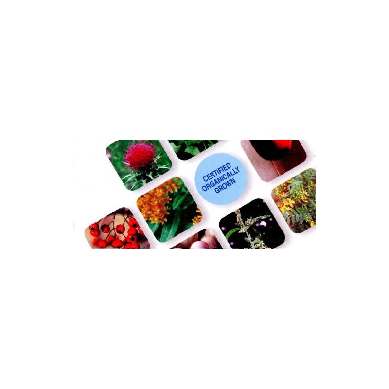 EXCTIC Saw-Parmet ec182 Eco Pack 600 mg x 90 Capsules