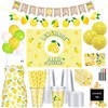 TREWAVE 233 Pcs Lemonade Stand Supplies Kit-50 Lemonade Cups with